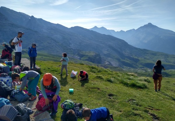 Imagen de cabecera de ¡Ayúdanos a mejorar nuestra Escuela Bosque!