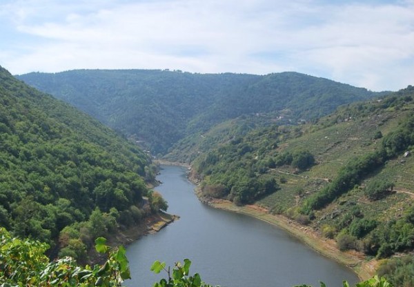 Continuar el legado familiar de la elaboración del vino's header image