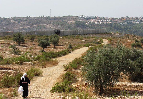 Imagen de cabecera de Campaña de recolecta de Olivas en Palestina