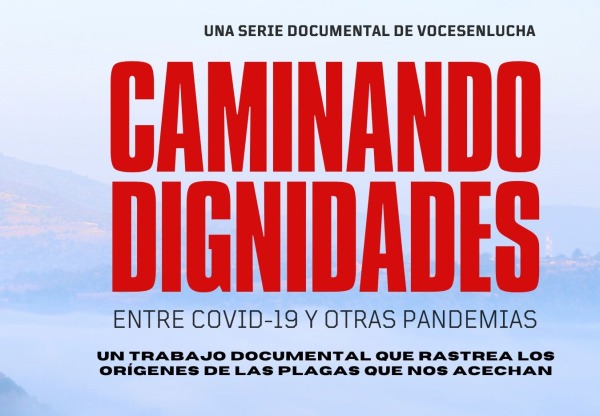 Imagen de cabecera de Serie Caminando Dignidades