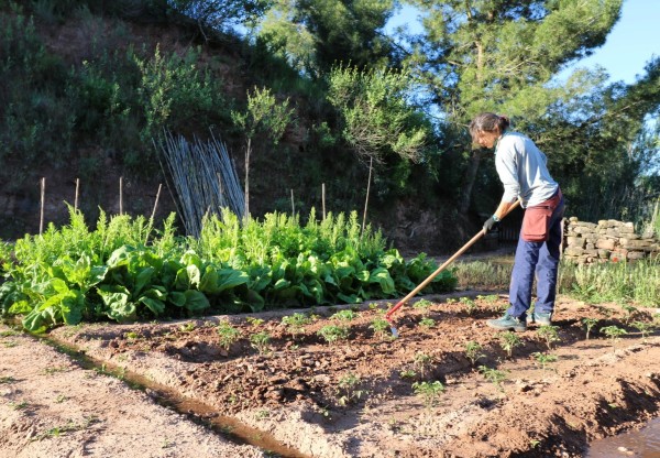 Imagen de cabecera de Col·lectiu Eixarcolant, transformando el modelo agroalimentario