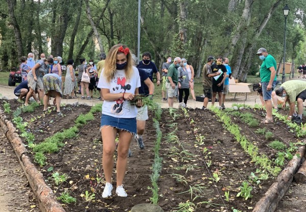 Imagen de cabecera de Senterada Comestible,  un jardí d’aliments comunitari