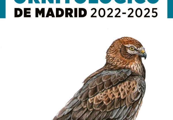 Imagen de cabecera de Anuario Ornitológico de Madrid: 30 años de ciencia abierta