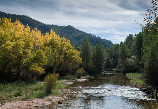 Imagen de cabecera de Salvemos la Reserva de la Biosfera del Cabriel (Cuenca) de macrogranjas