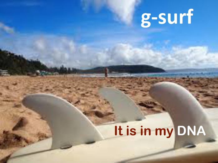 geno1ppt-surf.jpg