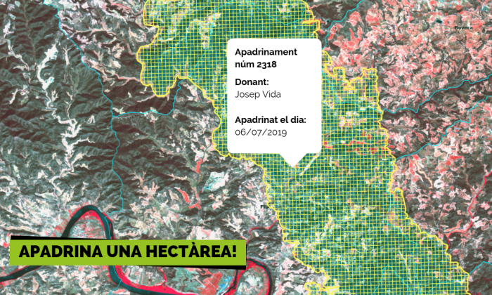 mapa-crowdfunding.png