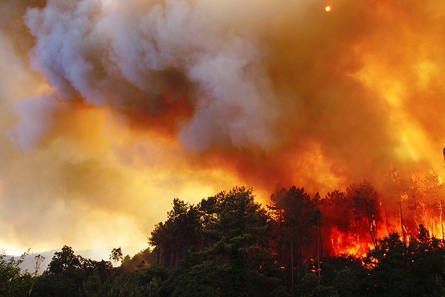 Así decidí investigar los incendios