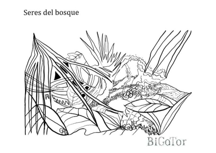 a5-003-seresdelbosque.jpg