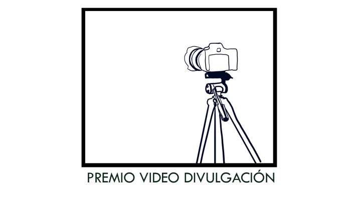 premiovideo-copia.jpg