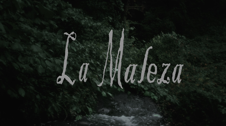 Imagen de cabecera